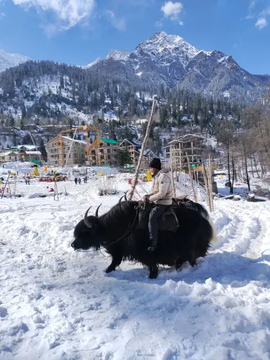 Photography - Manali